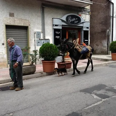 Apartman Il Pieddo Vico del Gargano