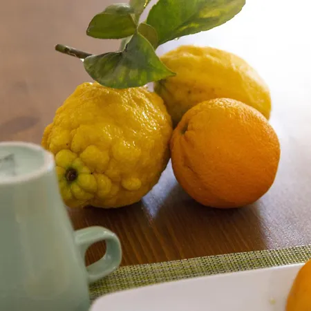 Il Pieddo Apartman *