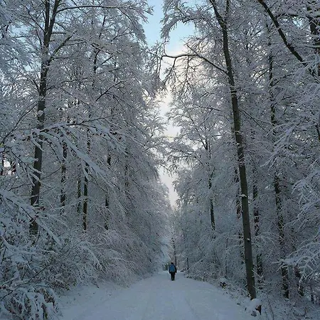 Апартаменты Il Pieddo *