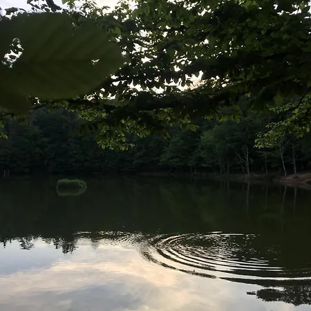 Il Pieddo Вико-дель-Гаргано