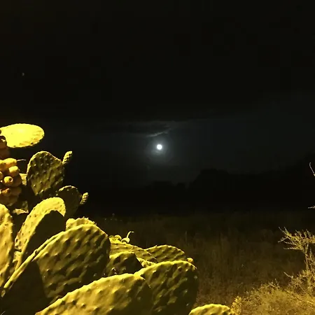 Il Pieddo Apartment *