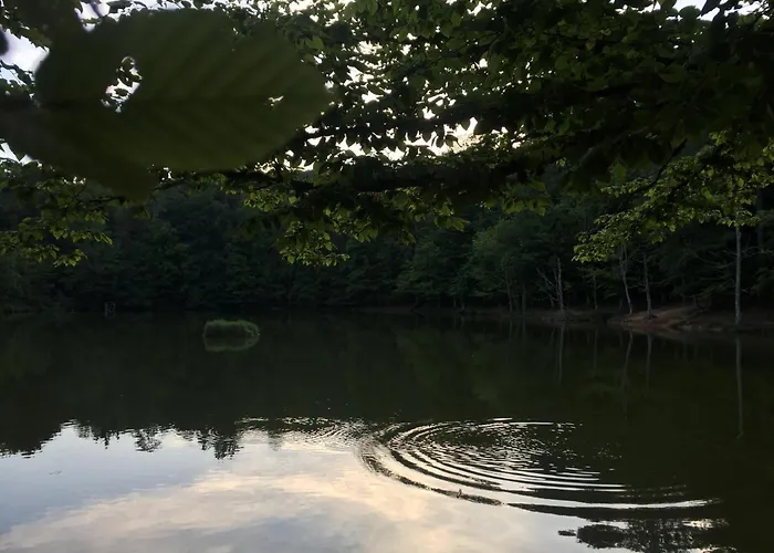 Il Pieddo Вико-дель-Гаргано